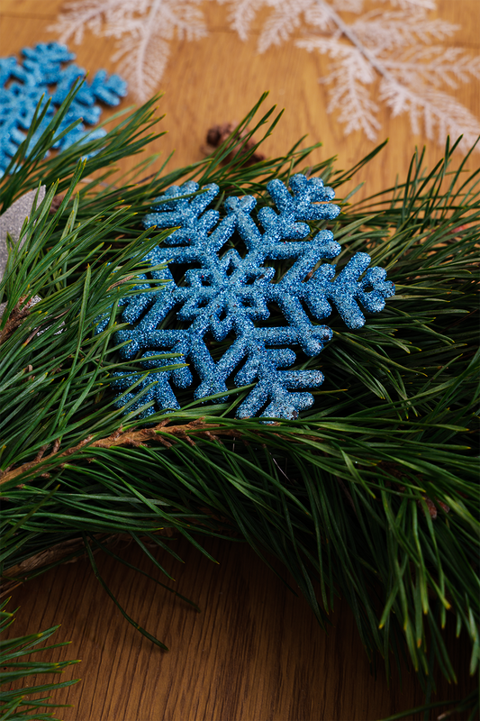 Natūralių pušų šakų vainikas “Frosta”